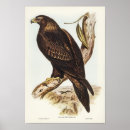 Search for wedge posters Vintage