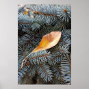 Search for fall autumn leaves christmas decor Winter