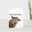 Search for funny sheep christmas cards Cute