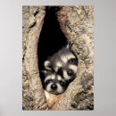 Search for fur tree posters Baby