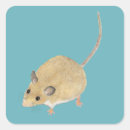 Search for diminutive stickers For kids