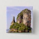 Search for asiatic badges Island