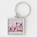 Search for english bulldog gifts Togetherness