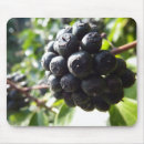 Search for berry mousepads Fruit