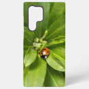 Search for ladybugs cases Flower