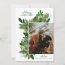 Search for christmas cards Merry