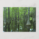 Search for baldness postcards Landscape
