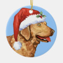 Search for chesapeake bay retriever christmas tree decorations Cbr