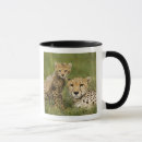 Search for acinonyx mugs Habitat