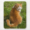 Search for red haired mousepads Animal