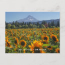 Search for oregon postcards Pnw