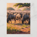 Search for wildebeests postcards Animal