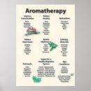Search for aromatherapy posters Massage therapy