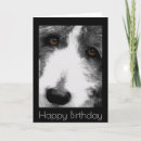 Search for beard birthday cards Dog