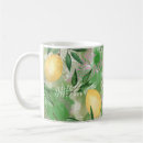Search for fresh fruit mugs Citrus