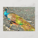 Search for zoos postcards Birds
