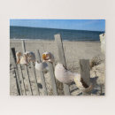 Search for beach puzzles Nature photography