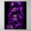 Search for delphinium art Flowers