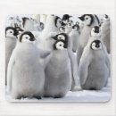 Search for funny chicks mousepads Cute
