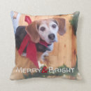 Search for christmas bow cushions Red