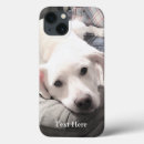 Search for lab photo cases Puppy