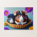 Search for guinea pig puzzles Animal