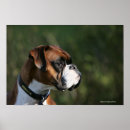 Search for pam posters Profile