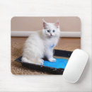 Search for mischievous mousepads Pet