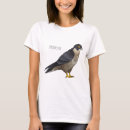 Search for falcon tshirts Bird of prey