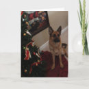 Search for shepherd christmas cards German