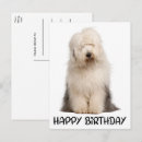 Search for old english sheepdog cards Puppy