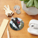 Search for public rounded key rings Transportation
