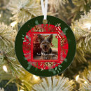 Search for watercolor christmas tree decorations Dog