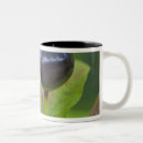Search for huckleberry mugs Fruit