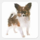Search for love puppy stickers Puppies