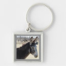Search for burro key rings Donkey