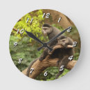 Search for monkey pictures Nature