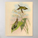 Search for vintage daisy flowers posters Green