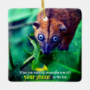 Search for cute possum christmas tree decorations Wildlife
