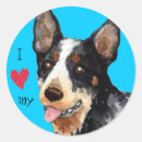Search for cattle dog stickers Acd