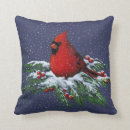 Search for cardinal cushions Bird