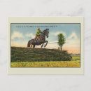 Search for horse sports postcards Jockey