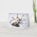 Search for snow angel christmas cards Fun