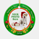 Search for dog memorial christmas tree decorations Paw