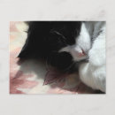 Search for tuxedo postcards Kitty