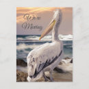 Search for beach change of address postcards Sunset