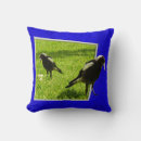 Search for magpie cushions Wildlife