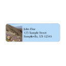 Search for saguaro return address labels Cacti