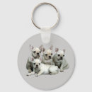 Search for frenchy round key rings Puppies
