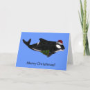 Search for killer whales cards Animal